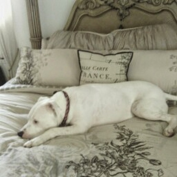 Meet your Posher, Kelly - Picture 1 of 1